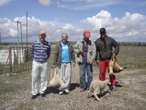 Imagen galeria 2